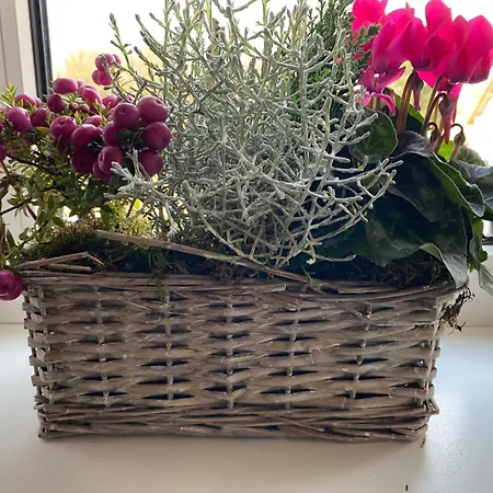 Rebstock Apartamento *