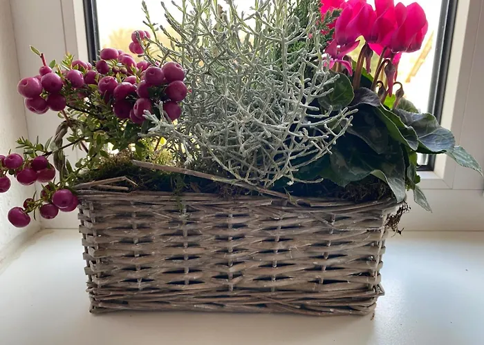 Rebstock Apartamento *